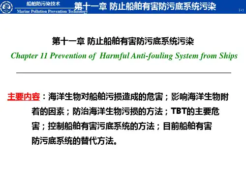 第十一章 防止船舶有害防污底系统污染