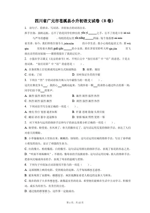 最新整理四川省广元市苍溪县小升初语文试卷(B卷)和答案解析