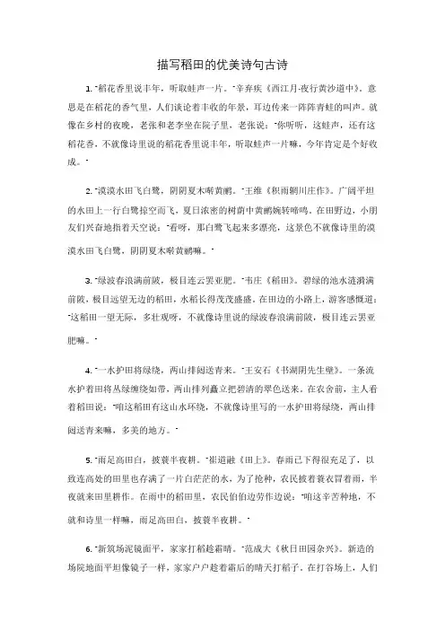 描写稻田的优美诗句古诗