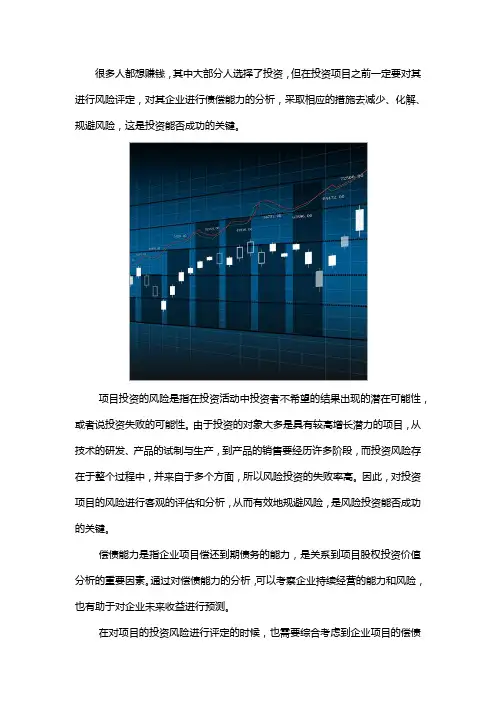 项目未来收益及偿债能力分析报告