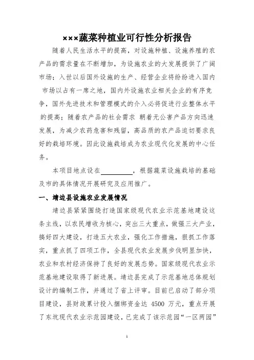 蔬菜种植可行性研究报告