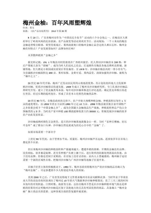 梅州金柚：百年风雨塑辉煌