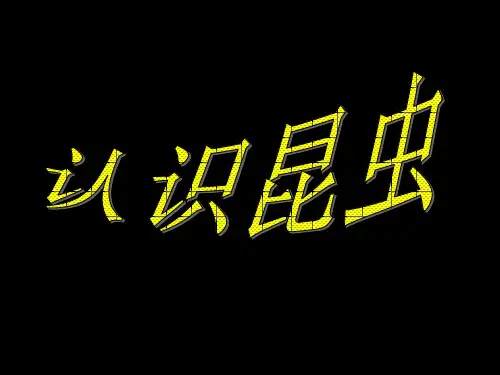 小班科学 认识昆虫 ppt课件