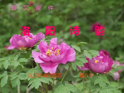 洛阳诗韵