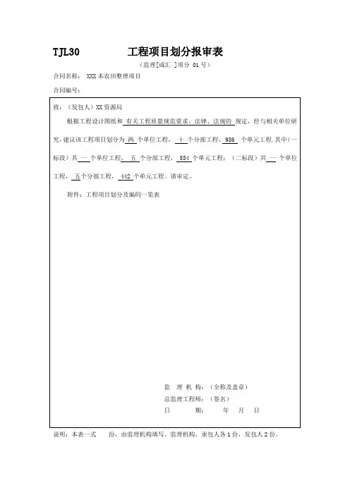 土地整理项目项目划分表