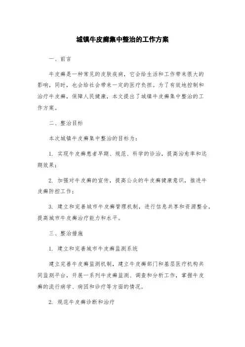 城镇牛皮癣集中整治的工作方案