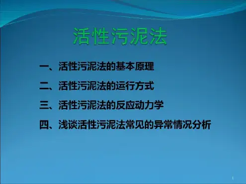活性污泥法参考-2022年学习资料