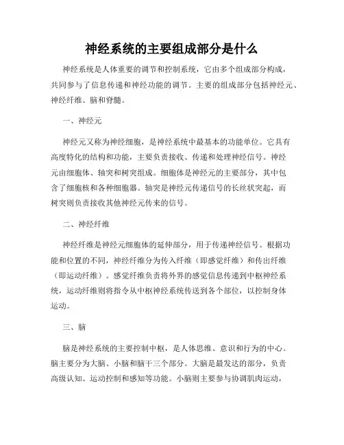 神经系统的主要组成部分是什么
