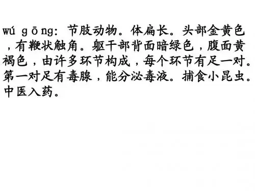 汉字听写大赛词语