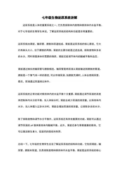 七年级生物泌尿系统讲解