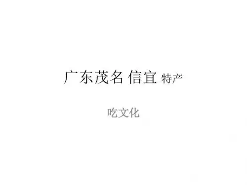 广东茂名 信宜 特产
