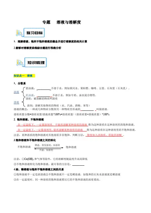 专题 13溶液与溶解度曲线-中考化学重难点复习精讲精练(上海专用)(原卷版)