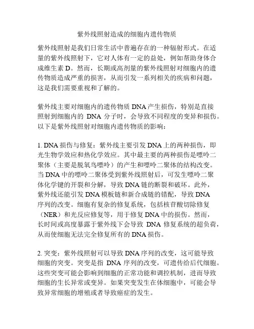 紫外线照射造成的细胞内遗传物质