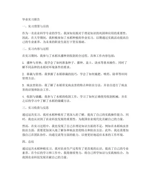 水稻毕业实习报告
