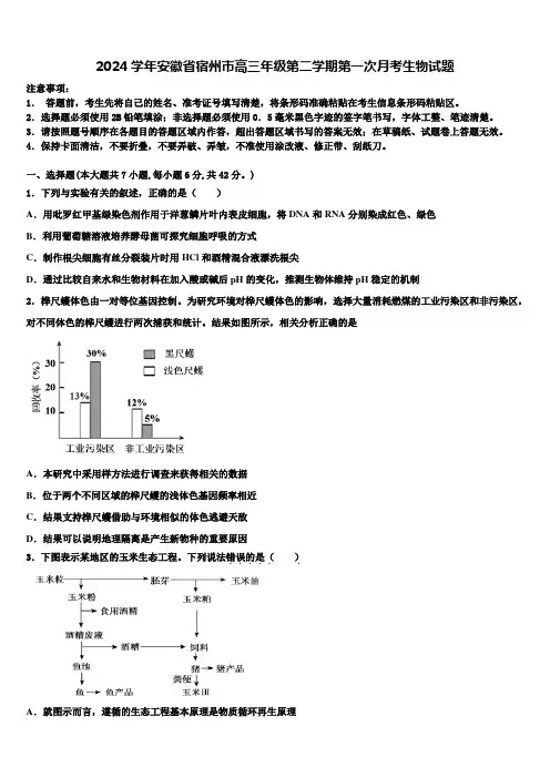 2024学年安徽省宿州市高三年级第二学期第一次月考生物试题含解析