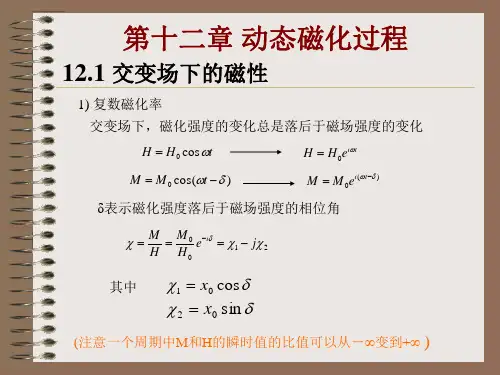铁磁学PPT课件-动态磁化过程