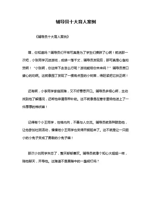 辅导员十大育人案例