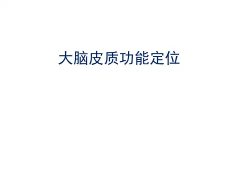 大脑皮质功能定位PPT课件