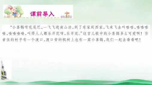 枫树上的喜鹊课件优秀PPT