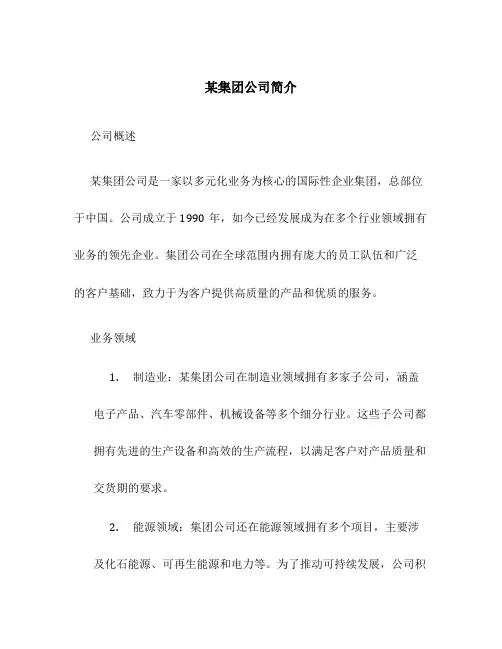 某集团公司简介