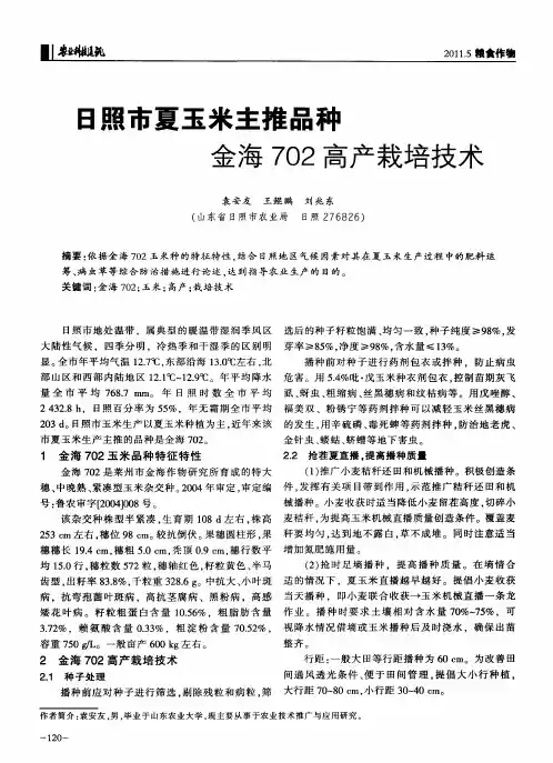 日照市夏玉米主推品种金海702高产栽培技术