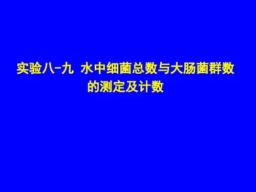 实验八九水中细菌总数与大肠菌群数的测定