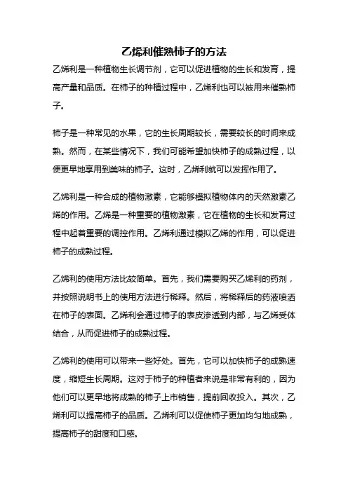 乙烯利催熟柿子的方法