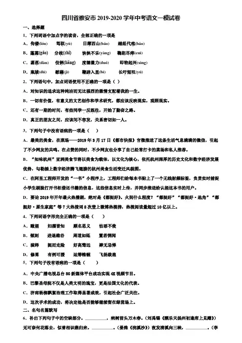 四川省雅安市2019-2020学年中考语文一模试卷含解析