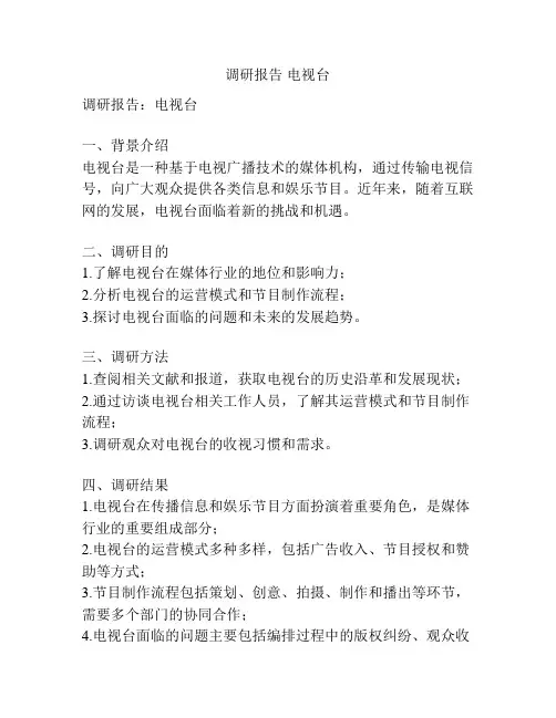 调研报告 电视台