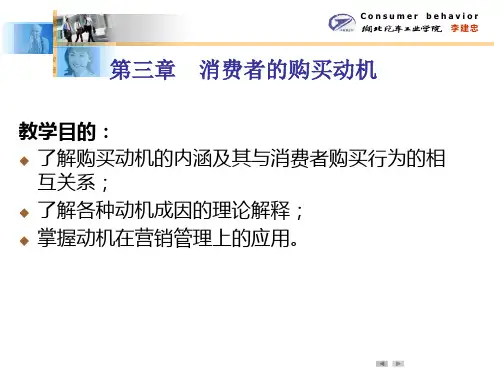 第三章-消费者的购买动机
