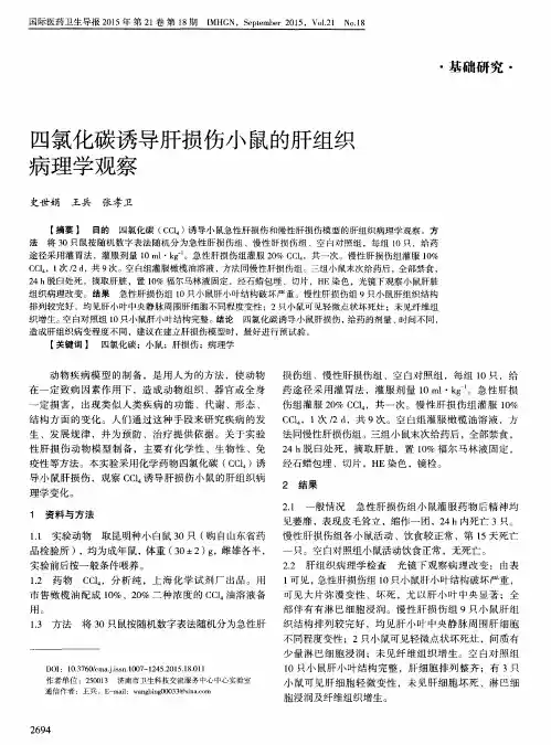 四氯化碳诱导肝损伤小鼠的肝组织病理学观察