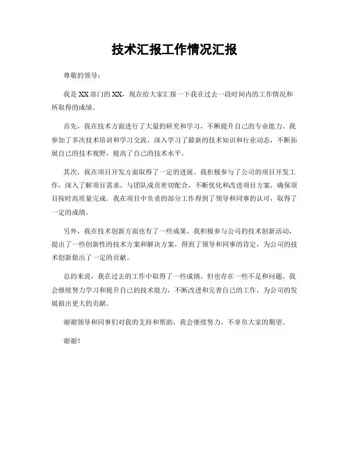 技术汇报工作情况汇报