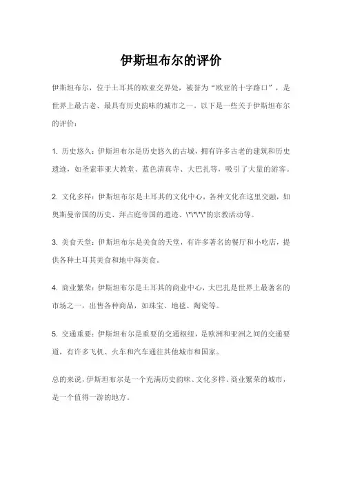 伊斯坦布尔的评价