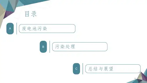 电池污染及处理PPT演示课件