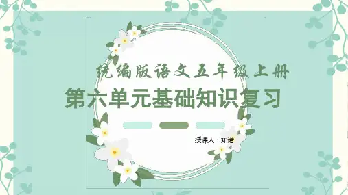 统编版语文五年级上册第六单元基础知识复习PPT