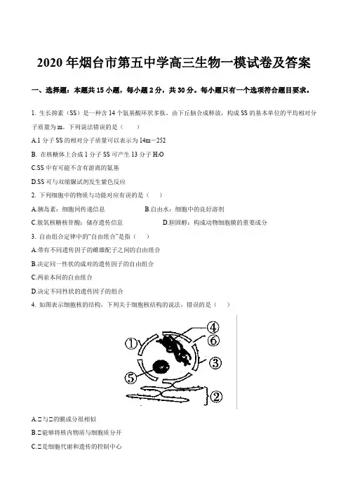 2020年烟台市第五中学高三生物一模试卷及答案