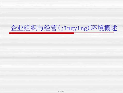 企业组织与经营环境概述