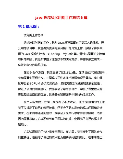 java程序员试用期工作总结6篇
