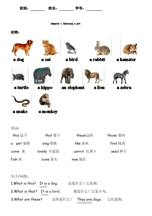 (完整版)香港朗文小学一年级1B知识点
