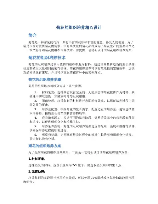 菊花的组织培养精心设计