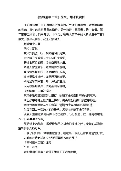 《新城道中二首》原文、翻译及赏析