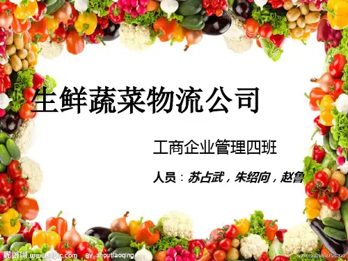 生鲜蔬菜物流公司课件