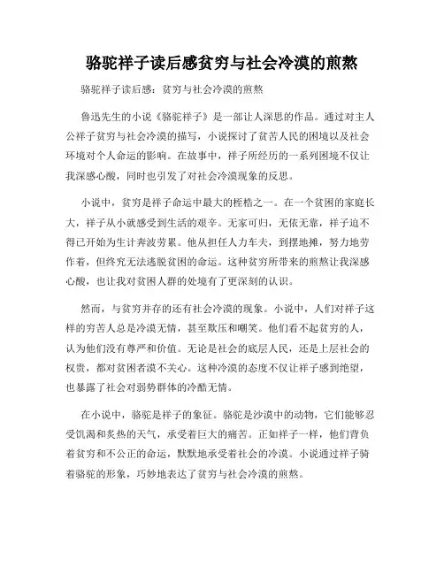 骆驼祥子读后感贫穷与社会冷漠的煎熬