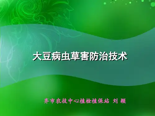 大豆病虫害课件