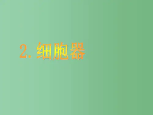 高中生物 第三章 第二节 细胞器课件 新人教版必修1