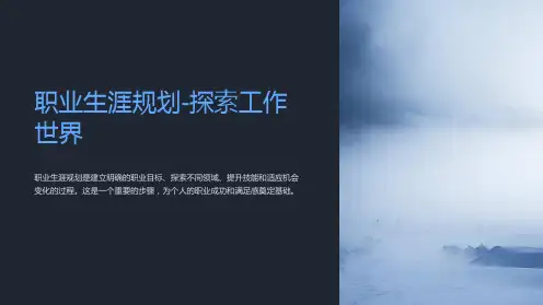 职业生涯规划-探索工作世界