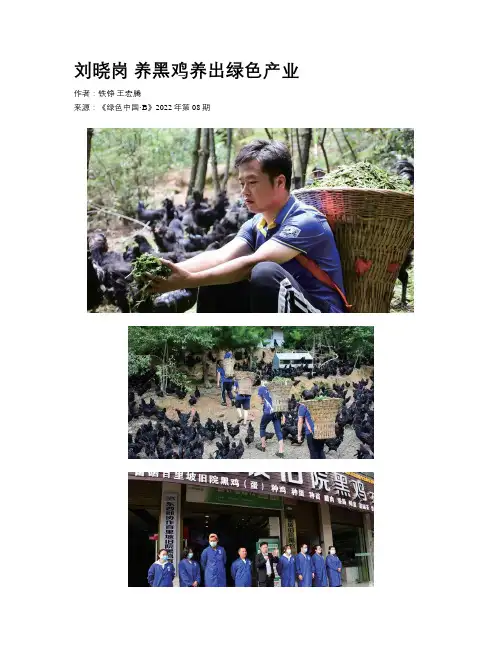 刘晓岗 养黑鸡养出绿色产业