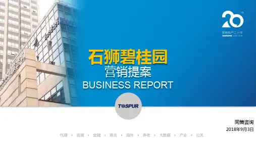 湖南中原_刘献志_福建石狮碧桂园营销策划提案
