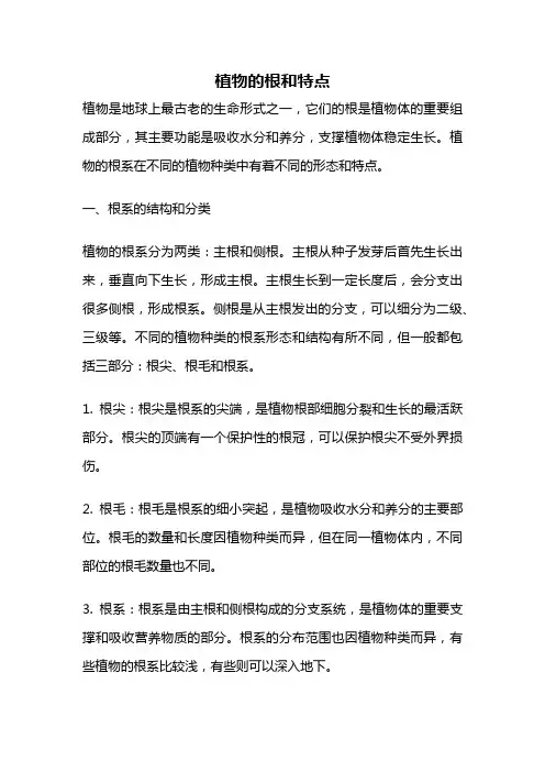 植物的根和特点