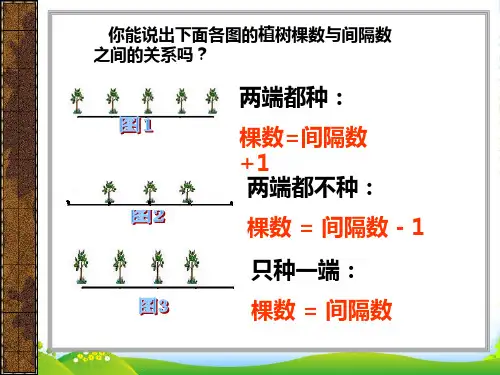 封闭图形的植树问题-课件